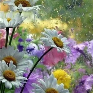 Meet your Posher, Tracey